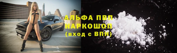 герыч Бородино