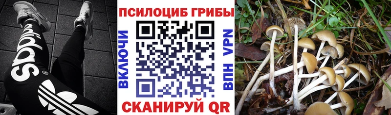 Галлюциногенные грибы GOLDEN TEACHER  Рыбинск 